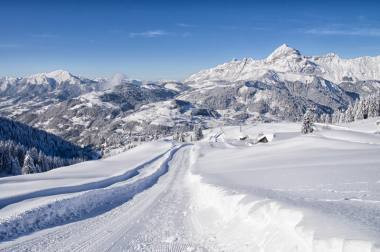 _lv_images__lot_0000970345_10_6719584 _lv_images__lot_0000970345_10_6719584