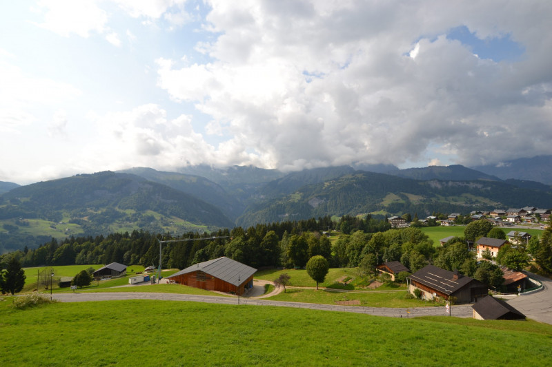 _lv_images__lot_0000970370_03_7670369 _lv_images__lot_0000970370_03_7670369