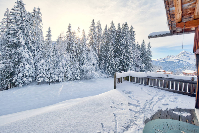 _lv_images__lot_0000970371_05_6777917 _lv_images__lot_0000970371_05_6777917