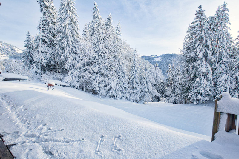 _lv_images__lot_0000970371_11_7357515