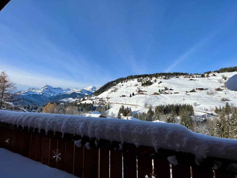 _lv_images__lot_0000970414_15_6740013 _lv_images__lot_0000970414_15_6740013