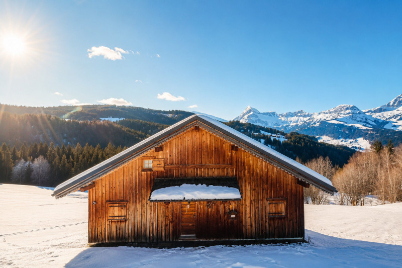_lv_images__lot_0000970423_09_8425743 _lv_images__lot_0000970423_09_8425743