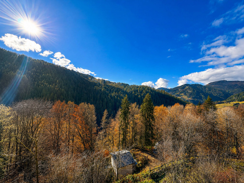 _lv_images__lot_0000970446_07_8333186