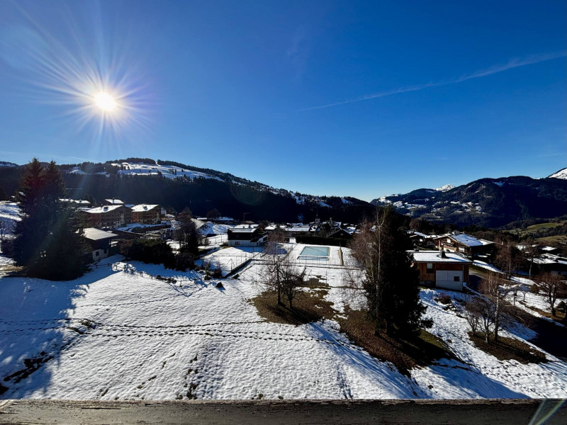 _lv_images__lot_0000970450_10_7955809