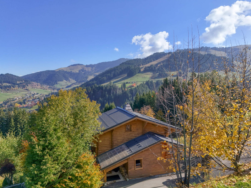 _lv_images__lot_0075554102_16_7654598